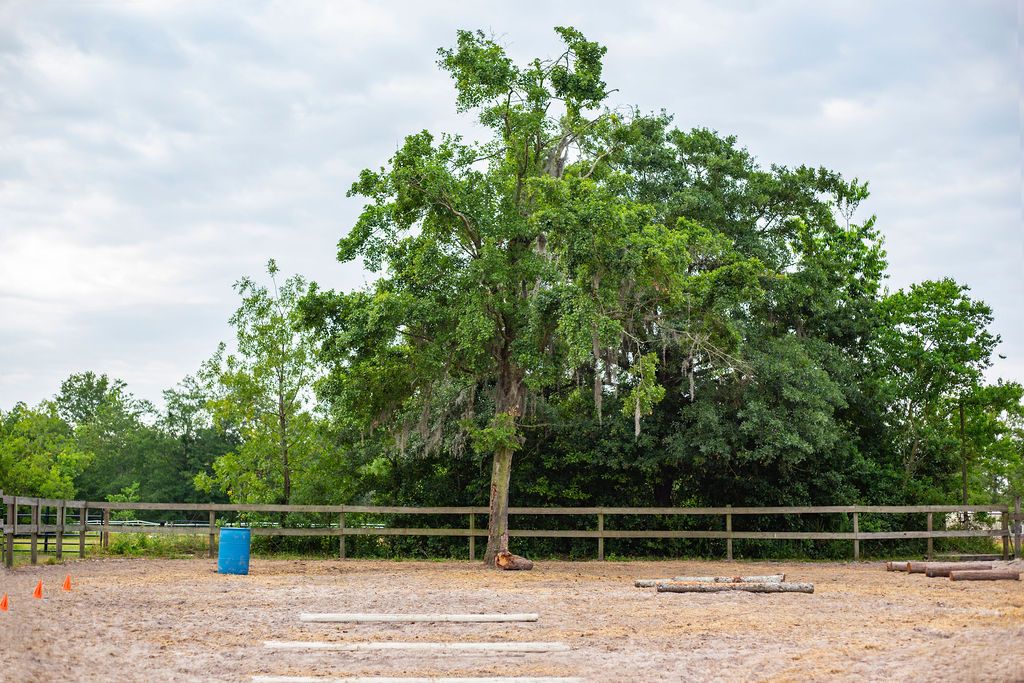 The ranch course with poles, logs, barrels, gates, cones, and a bridge for Ranch and Western riders to navigate.